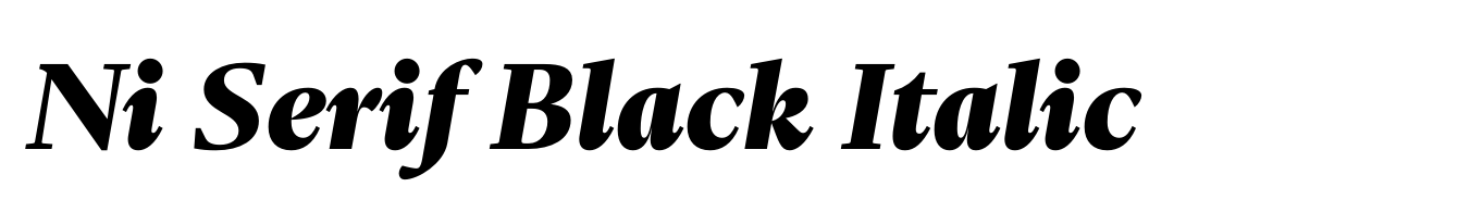Ni Serif Black Italic